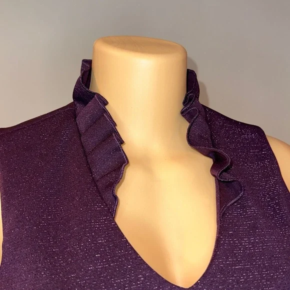 NWT SPARKLY CALVIN KLEIN DRESS SIZE 8P ELEGANT LOOKING WITH NECK SURROUNDING - Picture 7 of 16